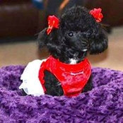 Betty Flagstad's photo