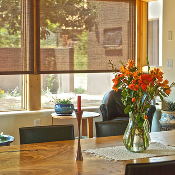 Sheer Roller Shades