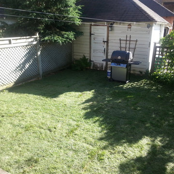 2014 Sodding After Pictures