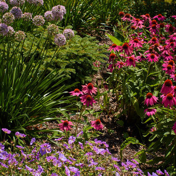 Landscape Design - Plant Combinations