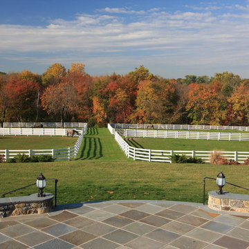 Steeple Chase Farm