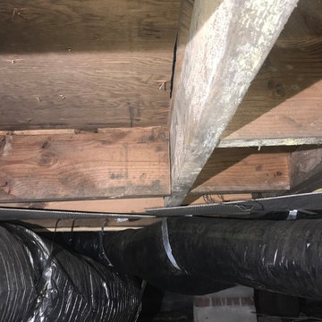 Crawlspace Encapsulation & Mold Removal