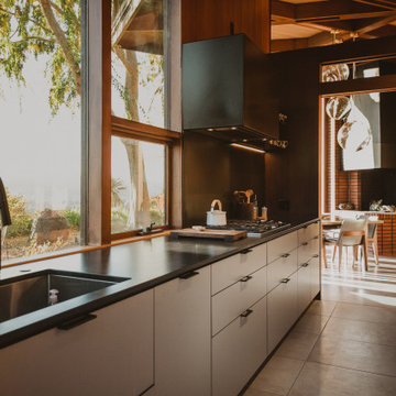 Healdsburg Hills Midcentury Modern