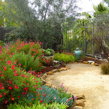Natural California Style Garden by Shirley Bovshow of EdenMakersBlog.com