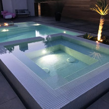 Pool/spa
