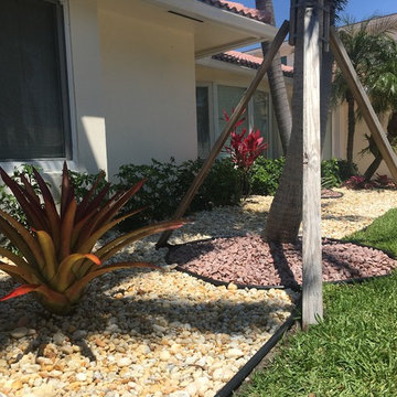 Bromeliads with Egg rocks