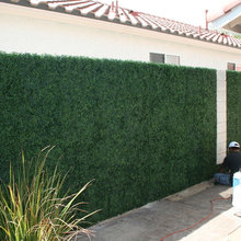landscapping