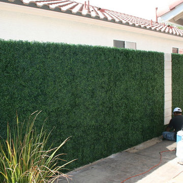 Ranka Lasting Greenery
