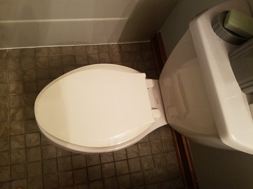 Trying To Match A Kohler Toilet Lid Already Two Strikes - How To Put A Kohler Toilet Seat On