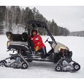 Lynne Morrow's photo