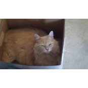 Tanya Deakins's photo