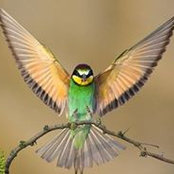 Elizabeth Fairchild's photo
