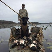 Cody Law's photo