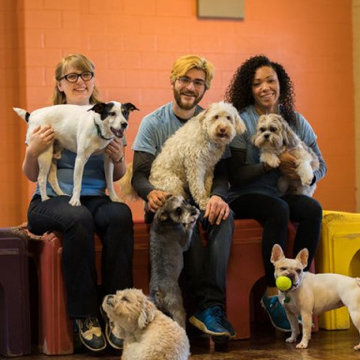 Pet Care Plus