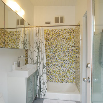 Mid Century Remodel