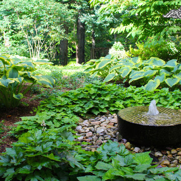 A White Garden Revisited