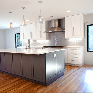Mid Century Modern Addition and Interior Revision