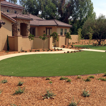 Global Syn-Turf artificial grass in Bakersfield, CA