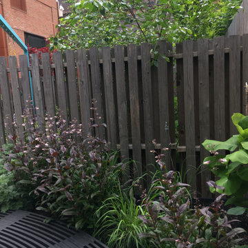 Modern Garden with Curved Corten Border