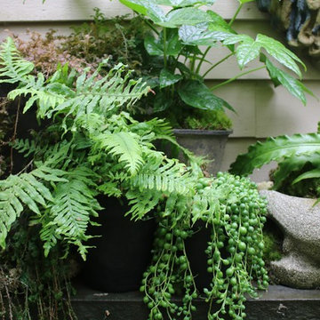 Rosebrook Garden 2017 Garden Tour