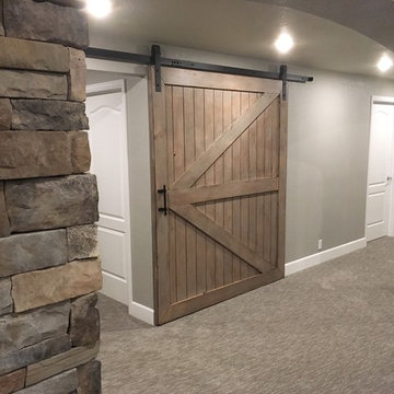 Home Theatre Barn Door