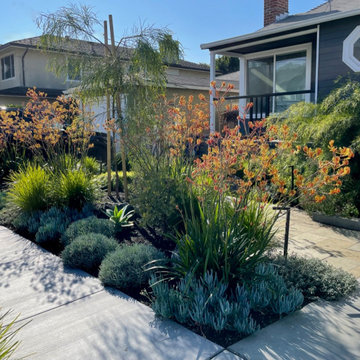 El Cerrito Bungalow Front Yard