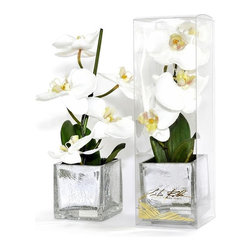 White Phalaenopsis Silver Crackle Square - Products