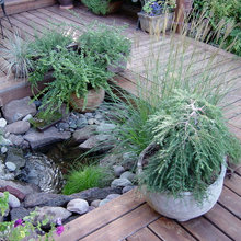 w/ water feature