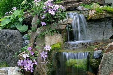 Inspiration for a tropical landscaping in Chicago.