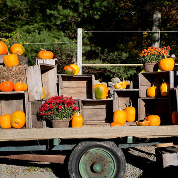 Houzz TV: Take a Leaf-Peeping Road Trip in New England