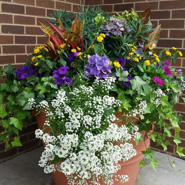Seasonal Display