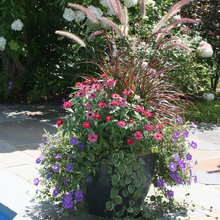 Container gardens