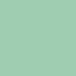 Retro Mint - Paint