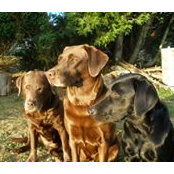 Adrienne Obbard's photo