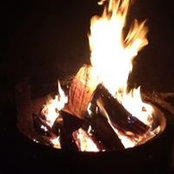 Robert Brown's photo