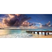 Bianca Neer's photo