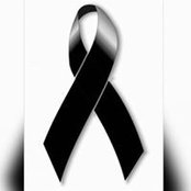 Juan Maya's photo