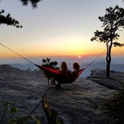 Virginia Reid's photo