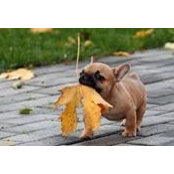Anita Frederick's photo
