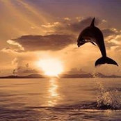 Cheri Morris's photo