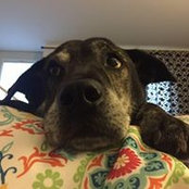 Kathryn Messina's photo