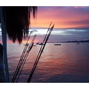 Roy Tuck's photo