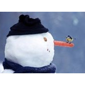 Erik Lomeland's photo