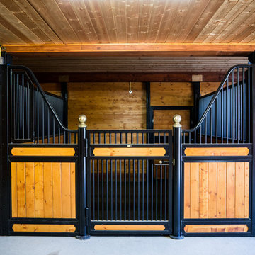 Equestrian 72 Horse Barn