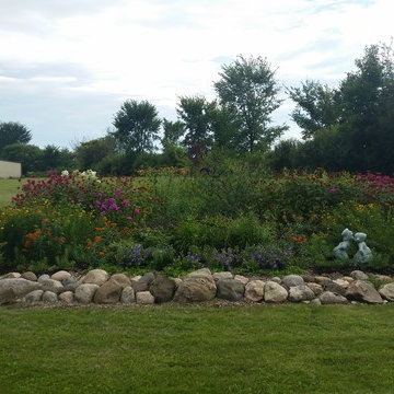 Low Maintenance Hummingbird Habitat