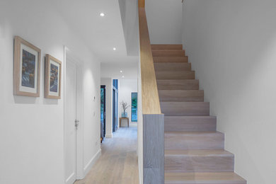 Mid-sized contemporary hallway in Dublin with white walls.