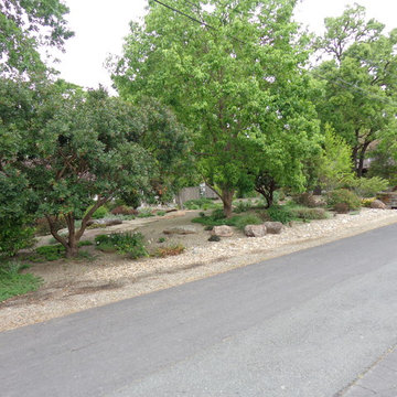 Lawn Replacement/Reduction in Lawn Size