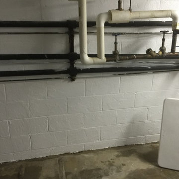 Mold Growing on Cement Walls