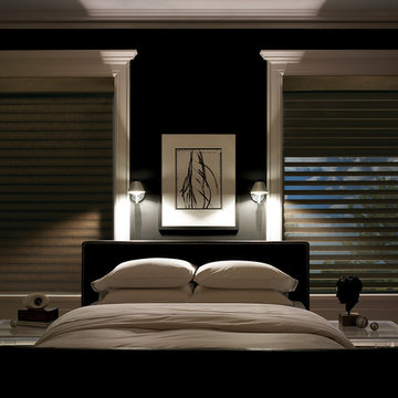 Hunter Douglas Options - Silhouette Collection