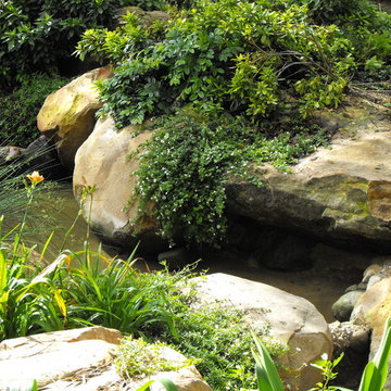 Santa Barbara Sandstone